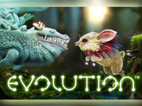 Игровые автоматы Evolution