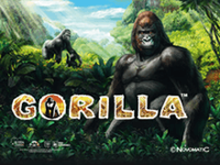 Играть на деньги в автоматы Gorilla