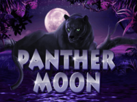 В клубе Вулкан Россия Panther Moon